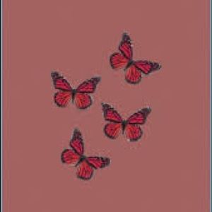 Meet your Posher, Morgan